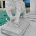 厦门 白麻花岗岩动物异形石雕-大象
