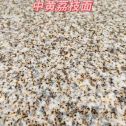 厦门黄金麻中黄荔枝面