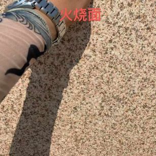 厦门黄金麻火烧面