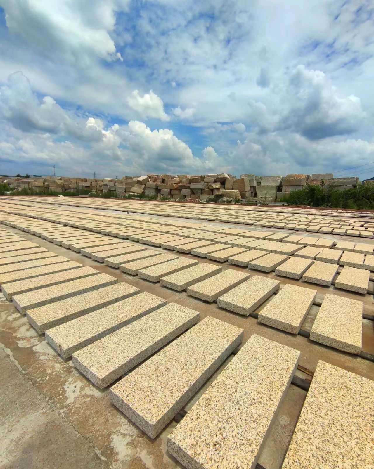 厦门 黄金麻花岗岩荔枝面地铺石防护中