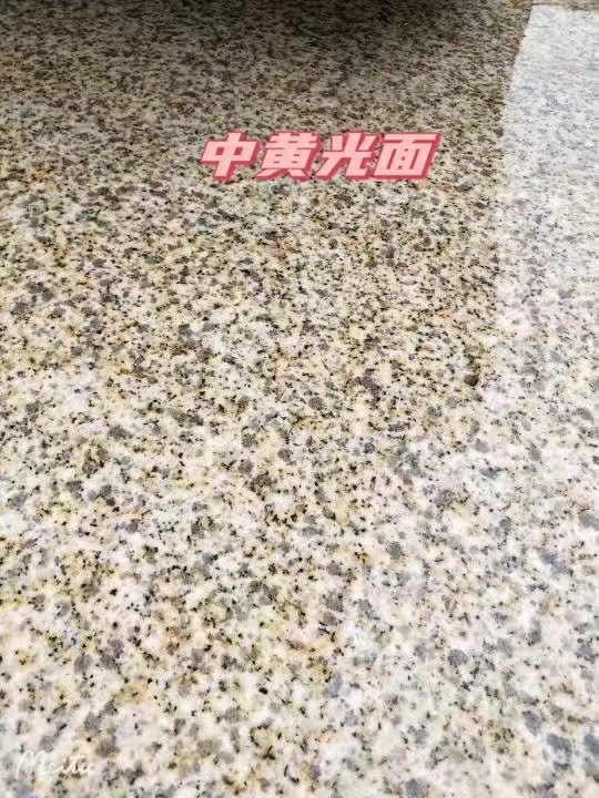 厦门黄金麻中黄光面