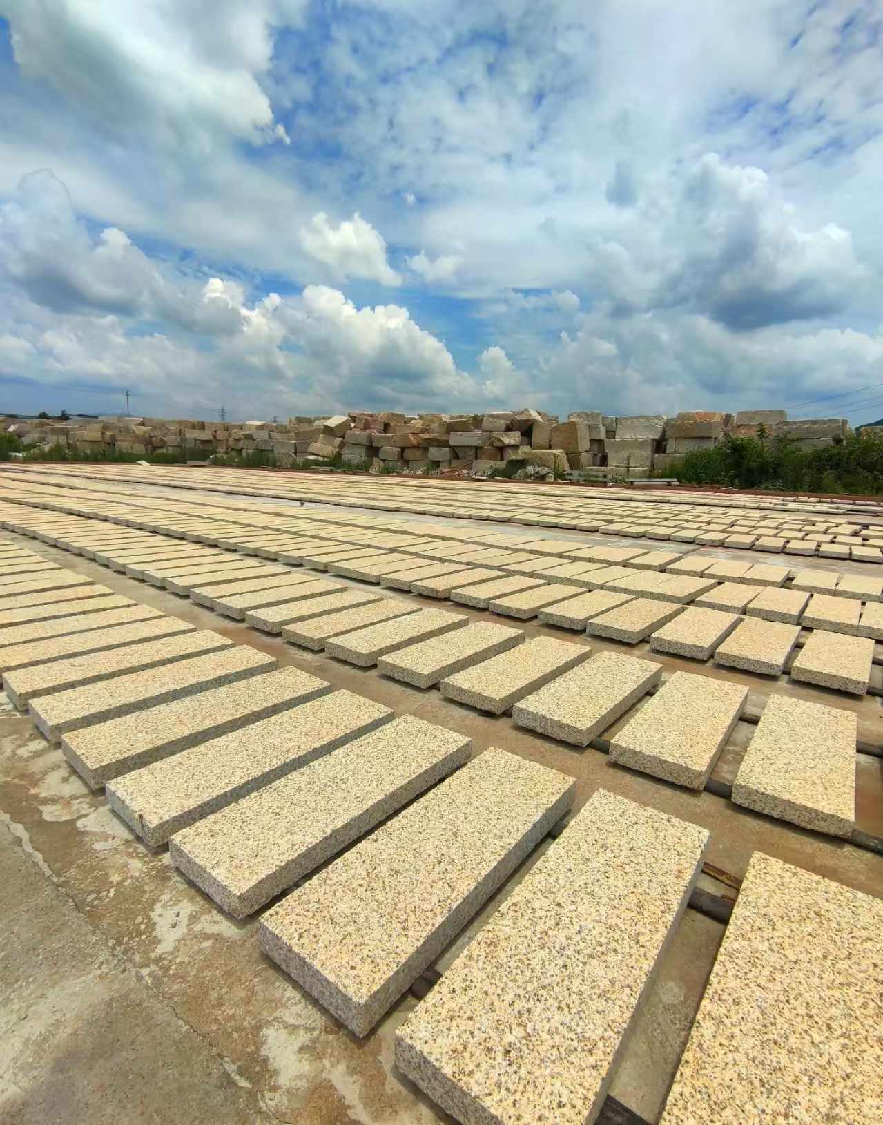 厦门 黄金麻荔枝面花岗岩石材地铺石防护中